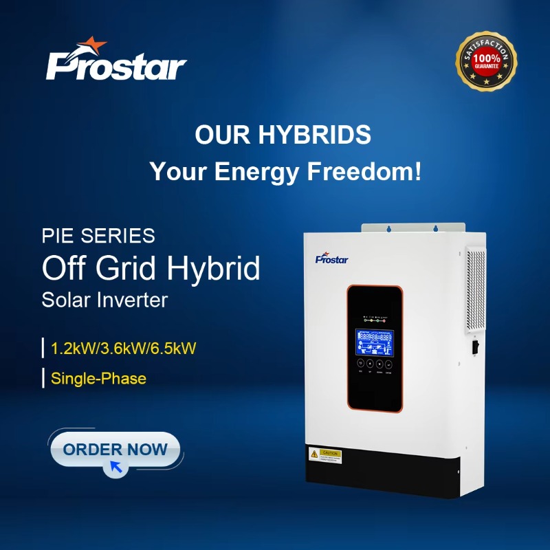 【2026】3.6kw 12V 24V 48V 純正弦波ハイ - Renewable Energy Grid のレビューと価格